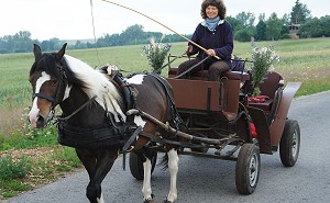 Ariki und Juli fahren Kutsche - Bild anklicken zum Vergrern (110 kByte)