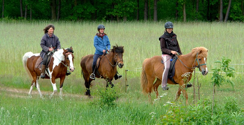 08-Wanderreiten-Heimkehr-31-05-2015.jpg