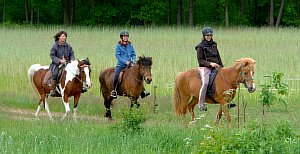 08-Wanderreiten-Heimkehr-31-05-2015.jpg