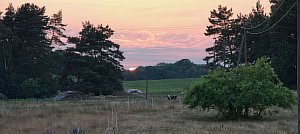 30-Sonnenuntergang-03-07-2015.jpg