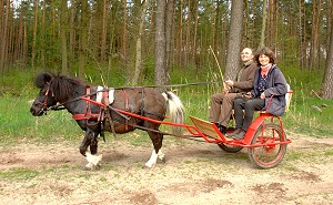 Juliane und Kolja fahren Sulki - Bild anklicken zum Vergrern (159 kByte)