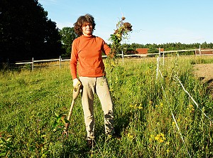 Juliane prsentiert das Jakobskreuzkraut - Anklicken zum Vergrern (205 kByte)