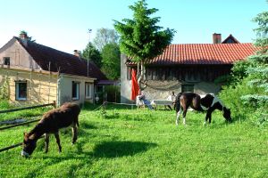 Aussenansicht der Ferienwohnung in Warthe/Uckermark - Bild anklicken zum Vergrern (213 kByte)