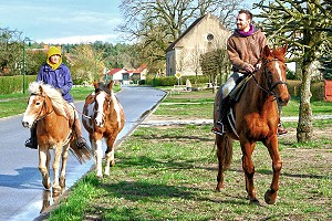 Ausritt zur Weide in Warthe - Anklicken zum Vergrern (247 kByte)