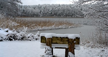 Der groe Warthe-See in der Uckermark - Anklicken zum Vergrern (101 kByte)