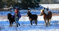 Juliane-laeuft-mit-Moritz-Bilbo-und-Leila-01-B1024.jpg