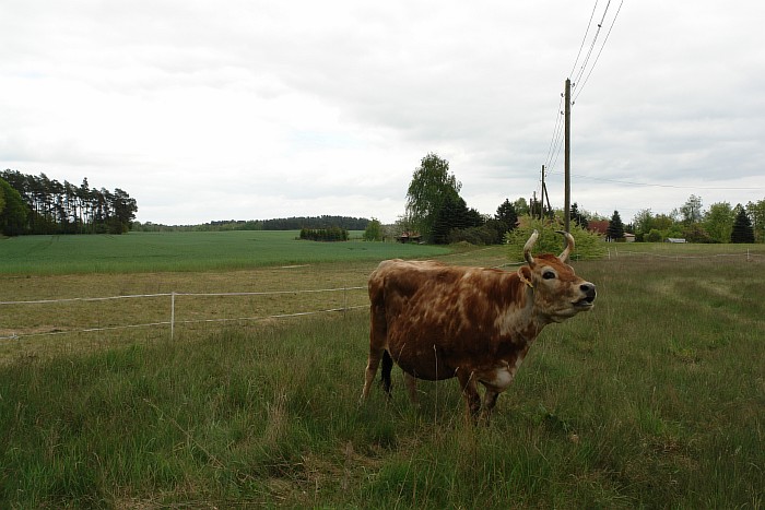 19-Ali-vor-dem-Hof-04.05.2014.JPG