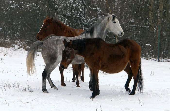 08-Stehgruppe.jpg