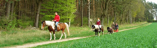 Atti-Feli-Sulkie.jpg