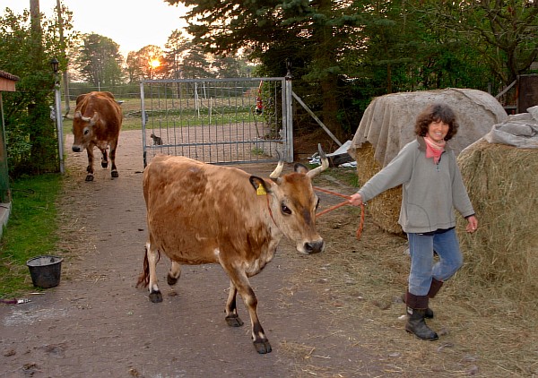 Juli-fuehrt-Claudi-heim.jpg