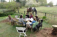 Kaffeetafel-mit-Pferden.JPG