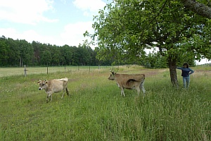 Claudi-beobachtet-Lotte-08.JPG