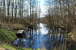 20-am-Grossen-Kuestrinsee.JPG