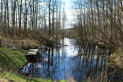 20-am-Grossen-Kuestrinsee.JPG