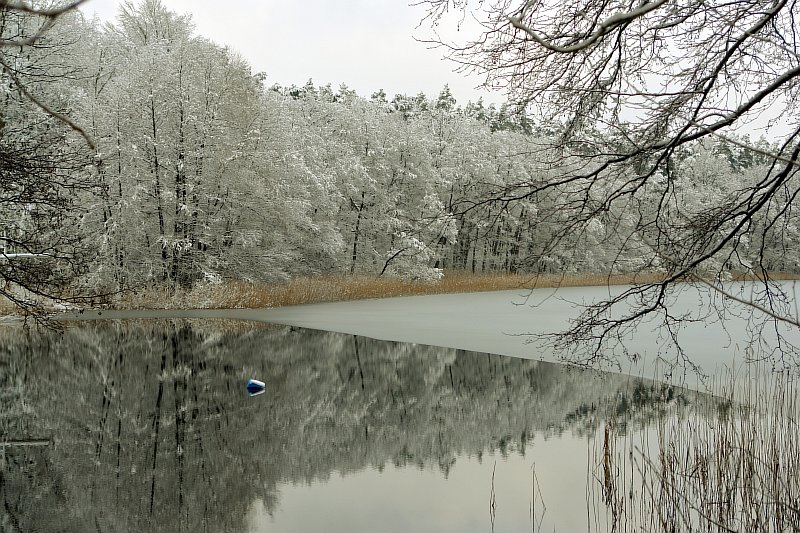 Grosser-Warthesee-im-Winter.jpg