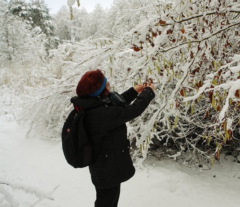 an-der-verschneiten-Erle.jpg
