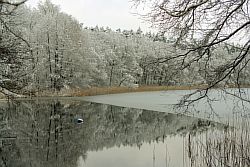 Grosser-Warthesee-im-Winter.jpg