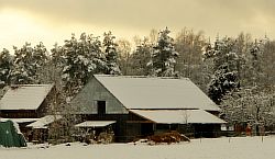 Warthe-Hof-Blick-vom-Wald.jpg